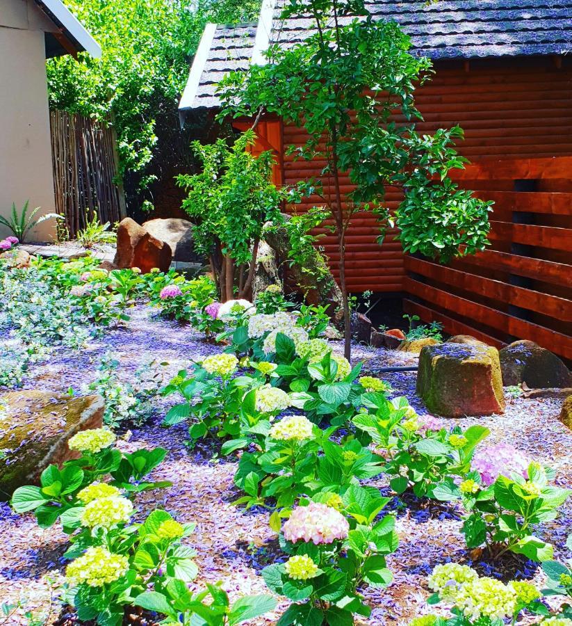 Haggards on Hilldrop Bed and Breakfast Newcastle Exteriör bild